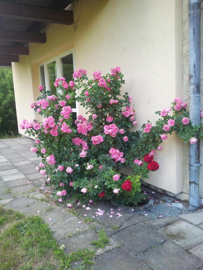 Ferienwohnung Am Spreeradweg Neusalza-Spremberg エクステリア 写真